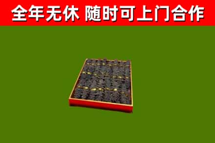 龙港回收海参